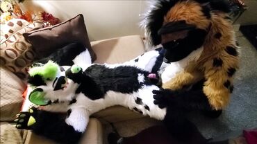 Fetish amateur couple in fursuit costumes tease each other before fucking passionately